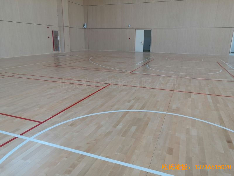 �V����혴���FӢ�ЌW(xu��)�\(y��n)��(d��ng)ľ�ذ尲�b����