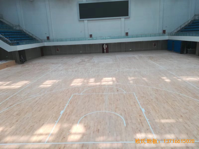 ɽ�|��(j��)���L(zh��ng)��ɽ�|����W(xu��)Ժ�@���^�w��ľ�ذ���O(sh��)����2