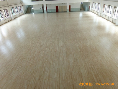 �����wȫ�I�(zh��n)���С�W(xu��)�w���^�w��ľ�ذ���b����