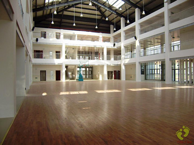 ��ľ�����õ��w��ľ�ذ��ԭ��