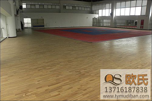 運動木地板,運動地板 運動木地板,運動地板