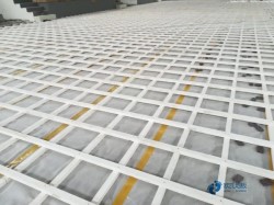 25���w����(ch��ng)�^�ذ�S�҈�(b��o)�r(ji��)