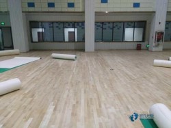 籃球木地板價格