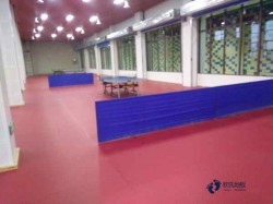 籃球運動木地板保養(yǎng)知識