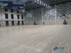 定制籃球場木地板品牌排行榜