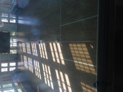 ُ�I���Ռ������_���ذ�Ʒ���Ă���