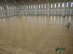 �����\��ľ�ذ�h(hu��n)��